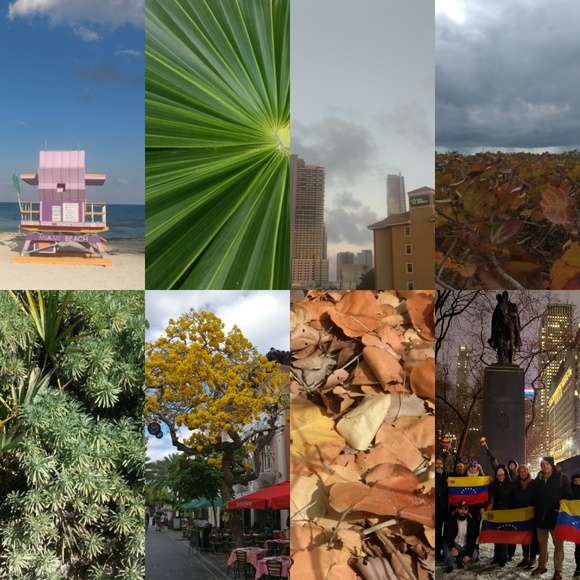 Meet your Posher, Pashion😘 - Picture 6 of 8